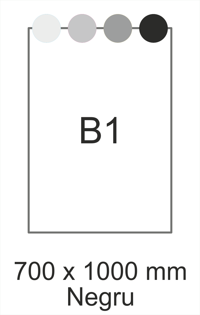 B1 negru