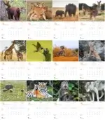 470x316 creați-vă propriul calendar personalizat și aduceți un strop de magie în viața dumneavoastră sau a celor dragi.