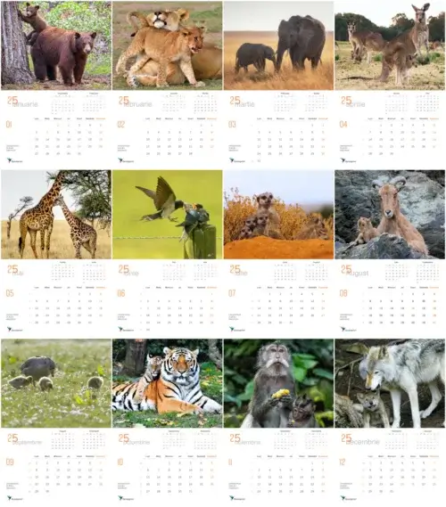 470x316 png creați-vă propriul calendar personalizat și aduceți un strop de magie în viața dumneavoastră sau a celor dragi.