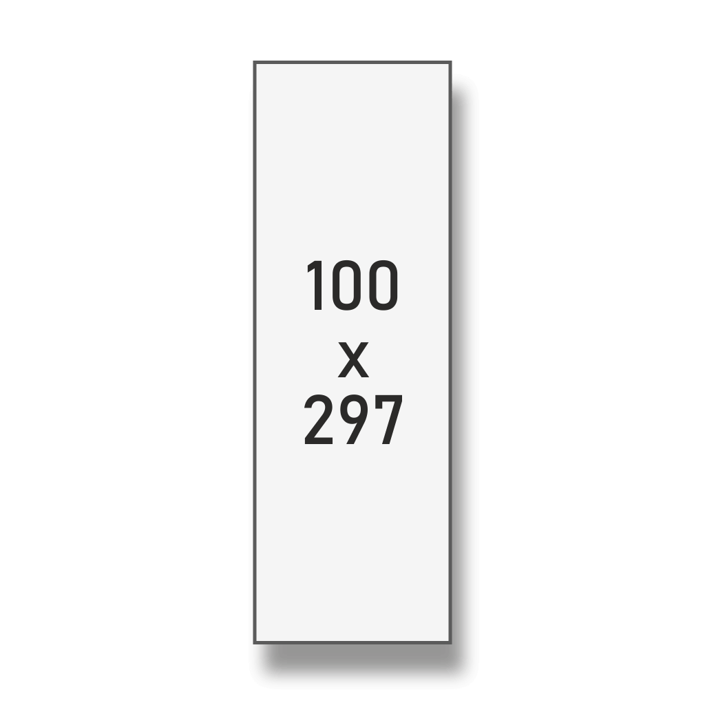 100 x 300
