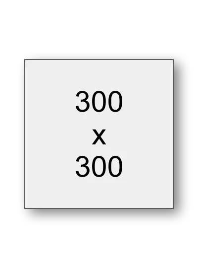 300 x 300