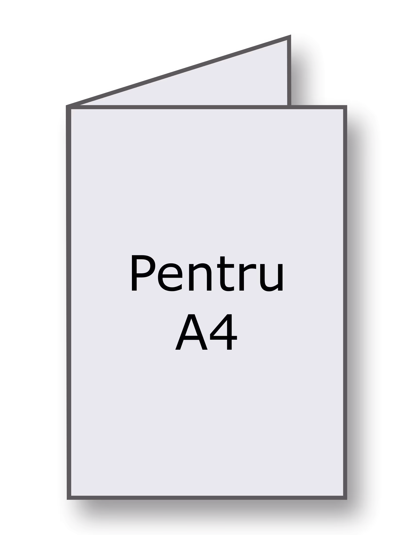 220 x 307 mm