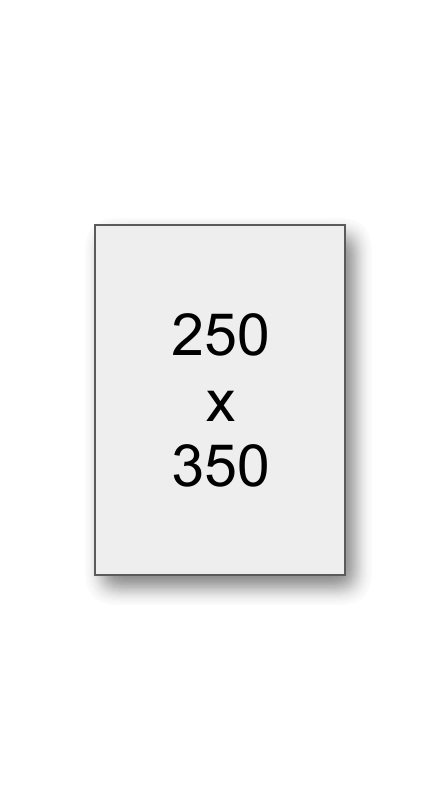 250 x 350 mm